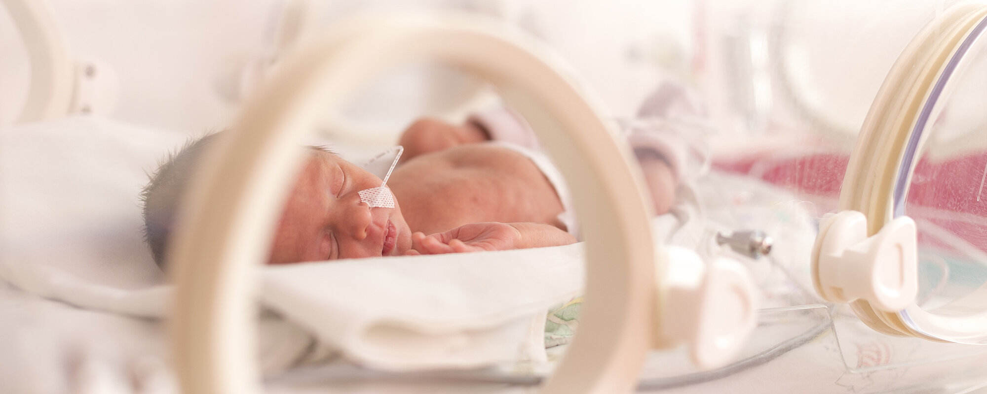 premature infants neonatology scene